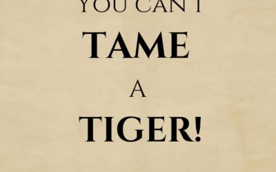 🔥 You Can’t Tame a Tiger! 🔥