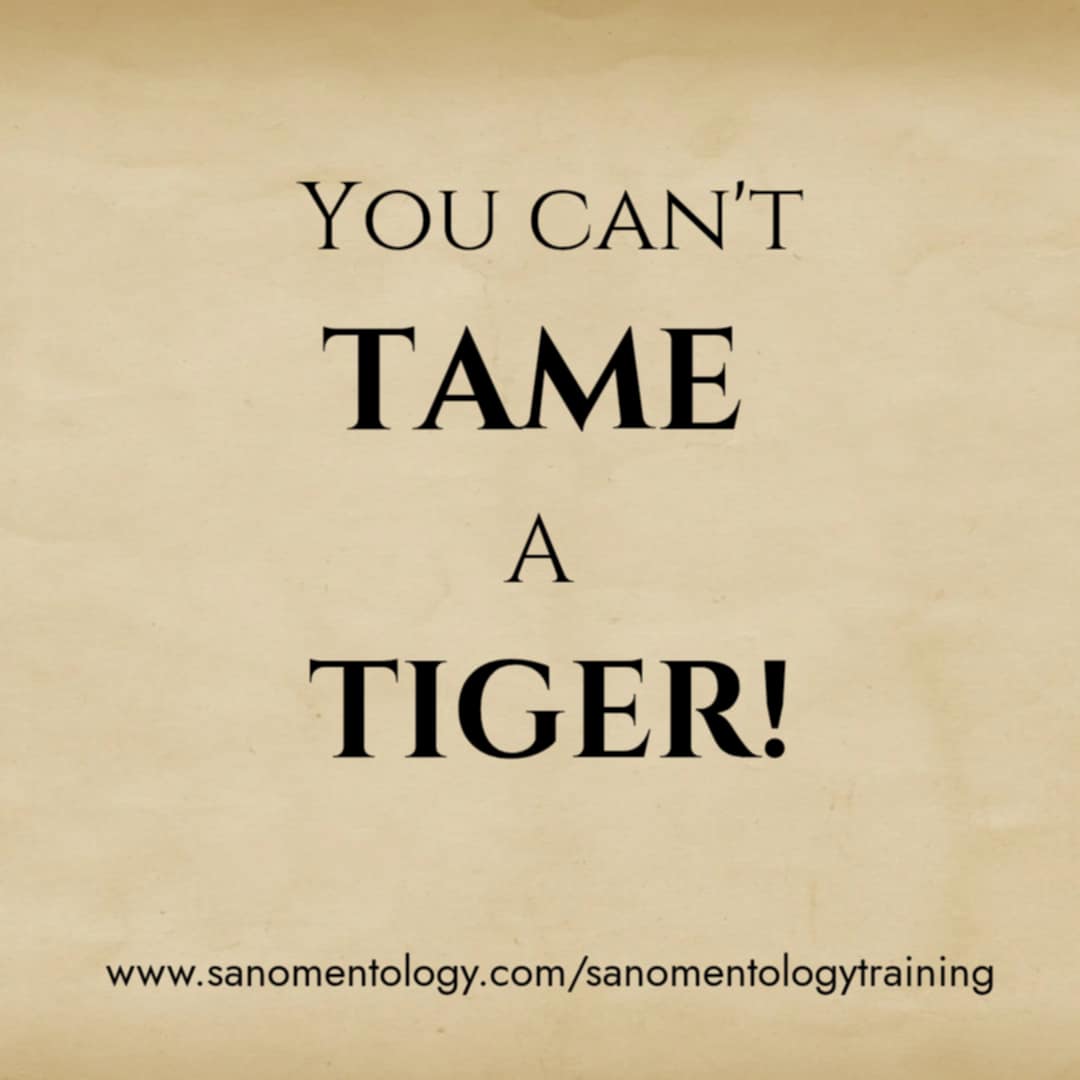 🔥 You Can’t Tame a Tiger! 🔥