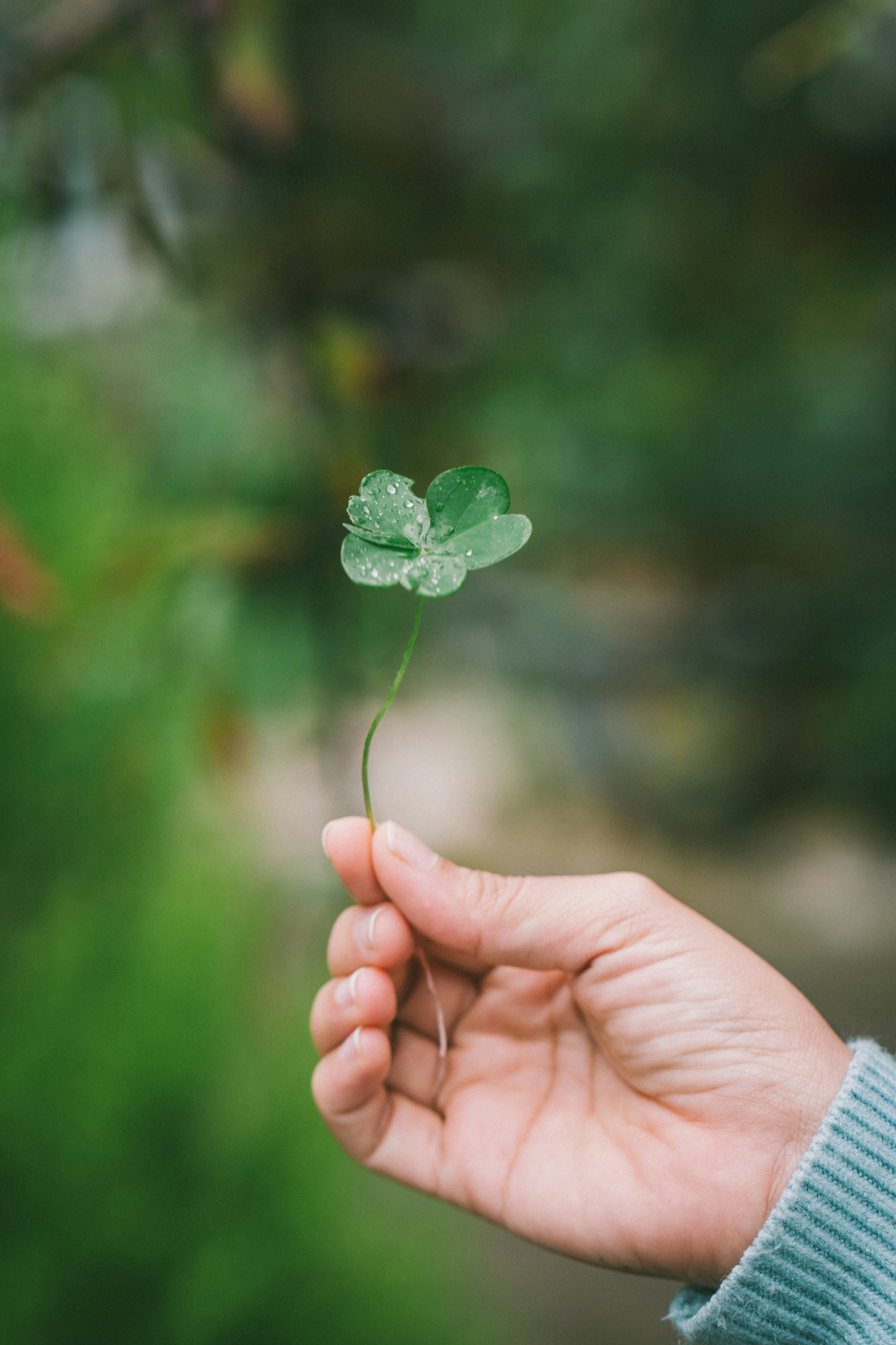 harris-vo-tv-9EmBJ1uk-unsplash