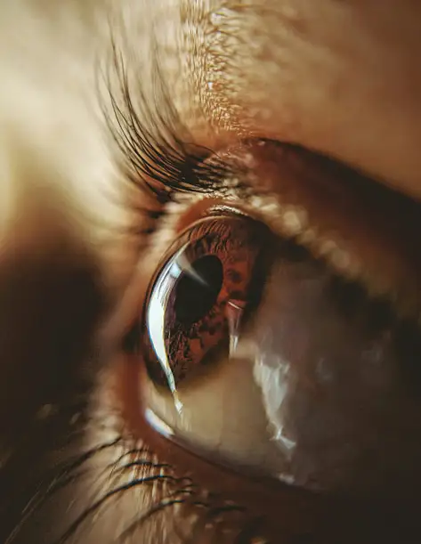 umesh-soni-EGNQODiDM5Q-unsplash-scaled